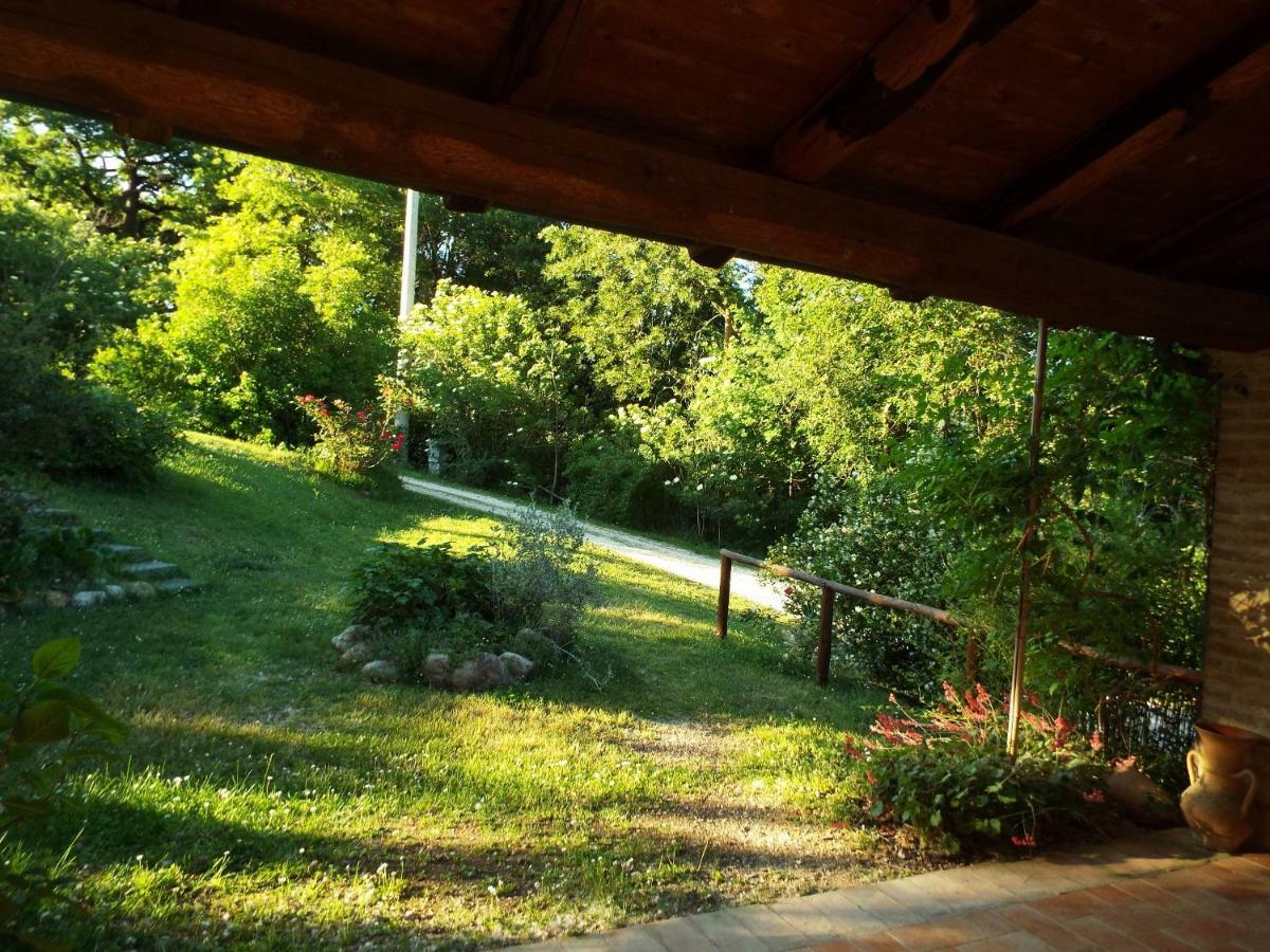 Agriturismo Frallarenza Ficulle Zewnętrze zdjęcie