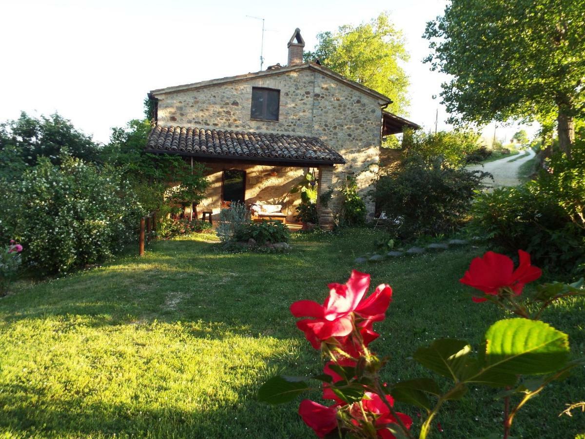 Agriturismo Frallarenza Ficulle Zewnętrze zdjęcie