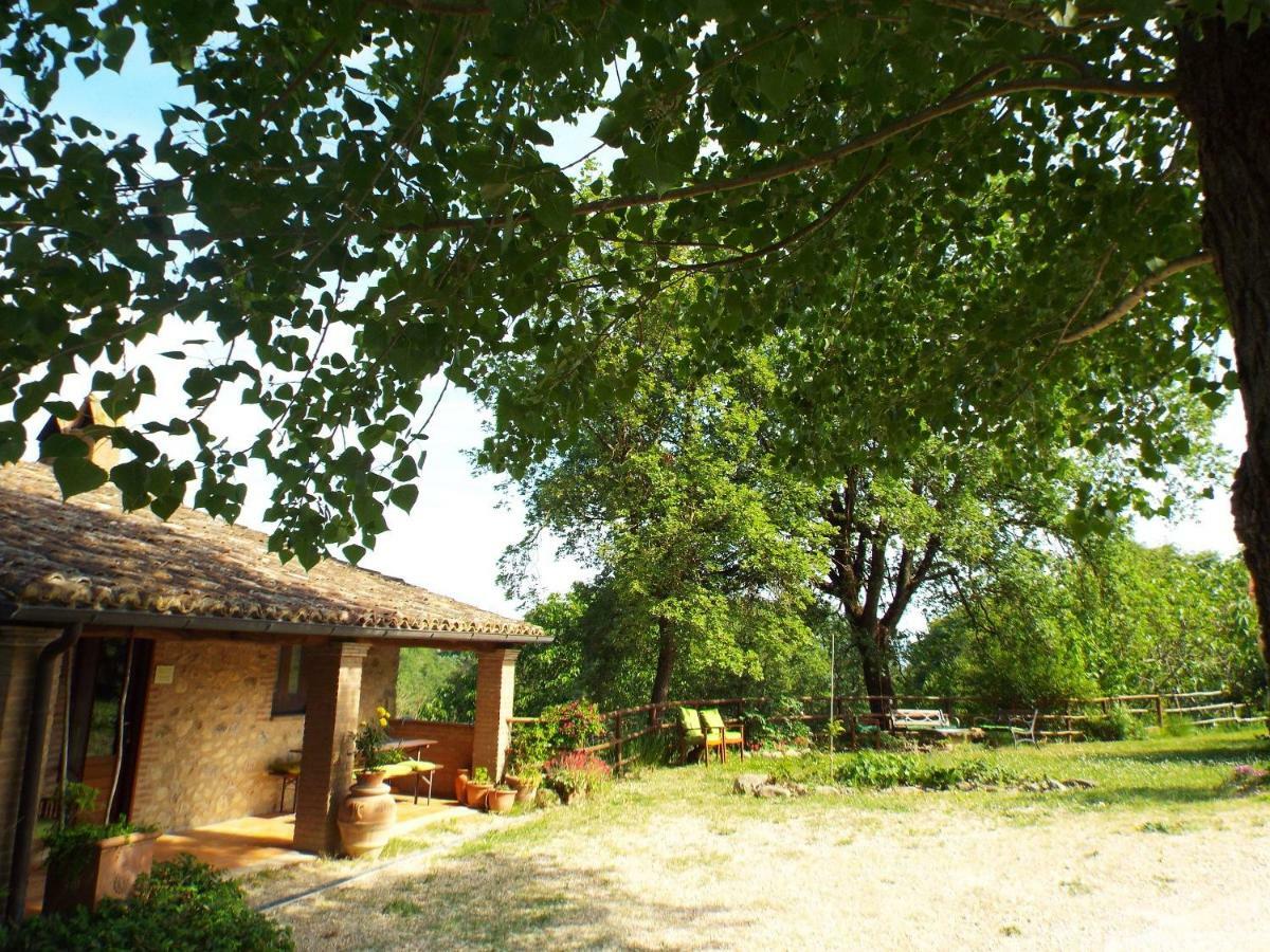 Agriturismo Frallarenza Ficulle Zewnętrze zdjęcie