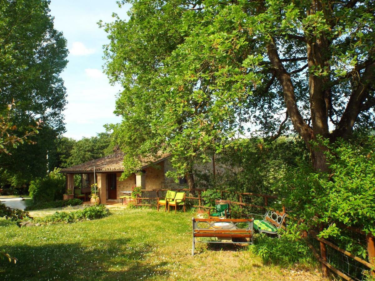 Agriturismo Frallarenza Ficulle Zewnętrze zdjęcie