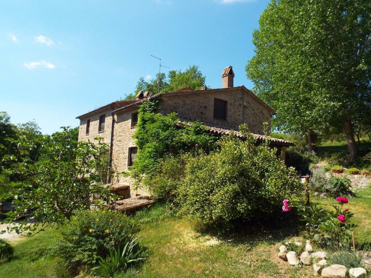 Agriturismo Frallarenza Ficulle Zewnętrze zdjęcie