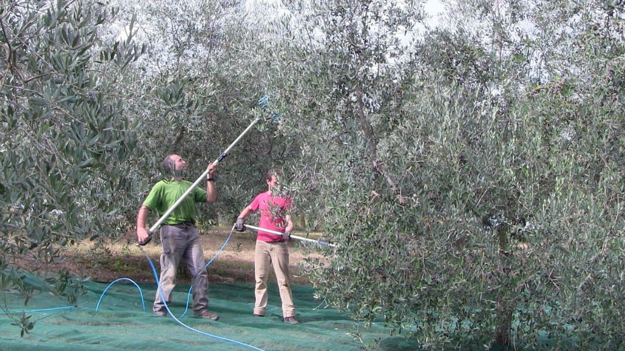 Agriturismo Frallarenza Ficulle Zewnętrze zdjęcie