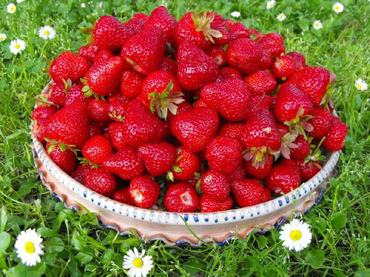 Agriturismo Frallarenza Ficulle Zewnętrze zdjęcie