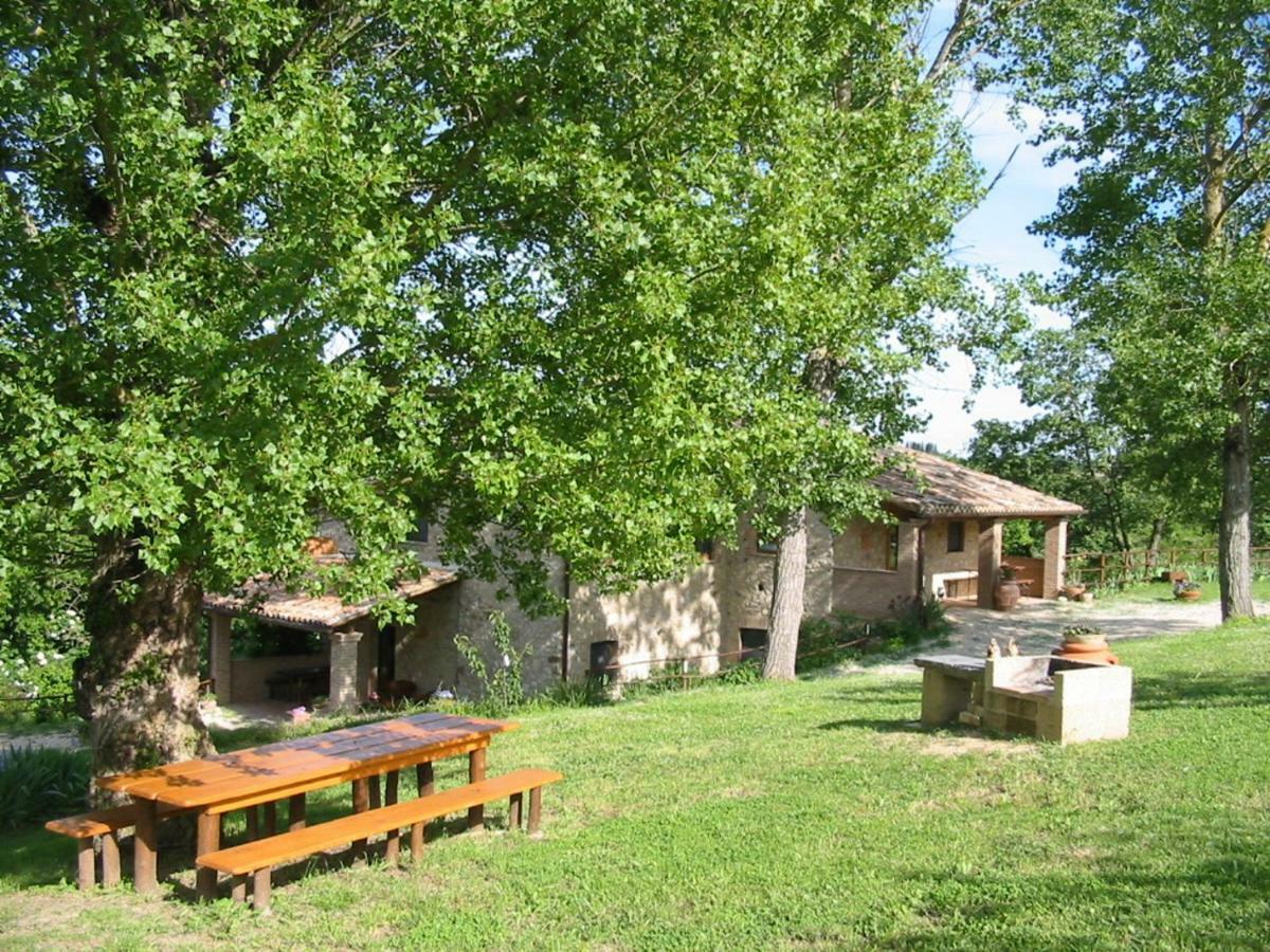 Agriturismo Frallarenza Ficulle Zewnętrze zdjęcie