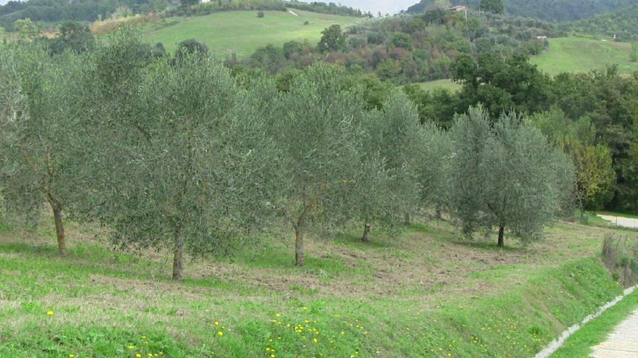 Agriturismo Frallarenza Ficulle Zewnętrze zdjęcie