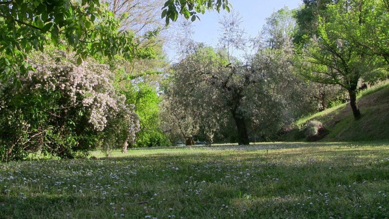 Agriturismo Frallarenza Ficulle Zewnętrze zdjęcie