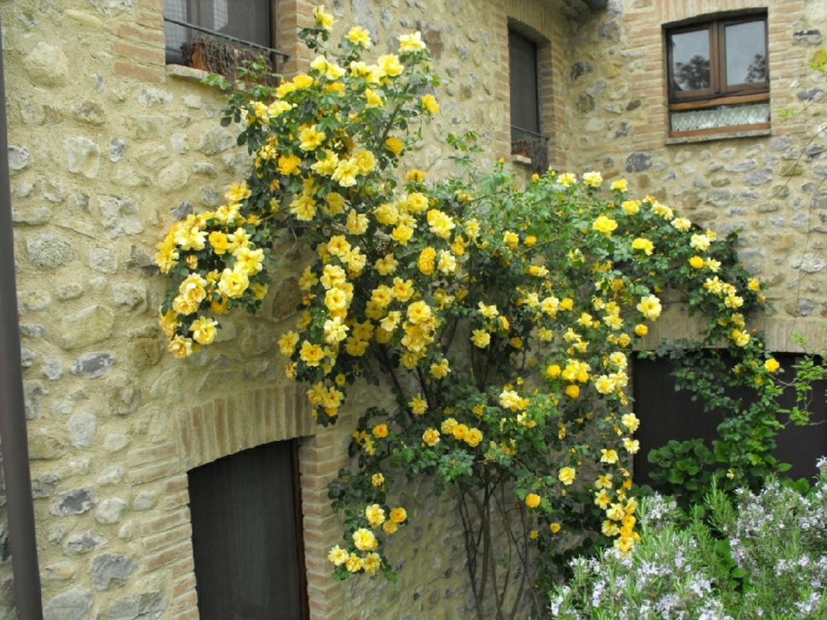 Agriturismo Frallarenza Ficulle Zewnętrze zdjęcie