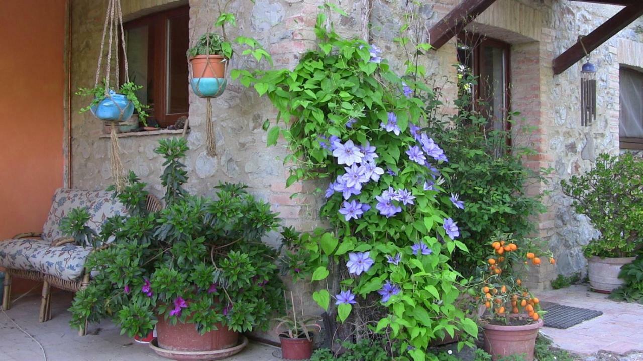 Agriturismo Frallarenza Ficulle Zewnętrze zdjęcie
